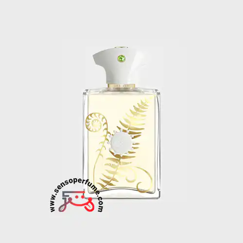 عطر ادکلن آمواج براکن مردانه